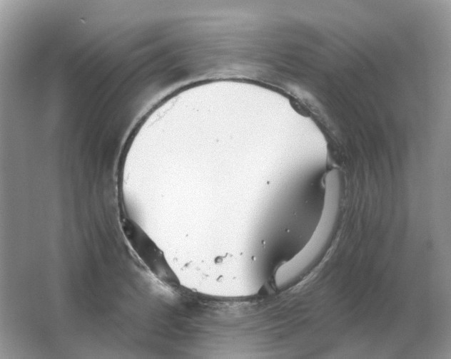 X0000063521184200602172206