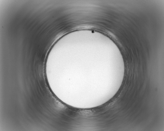 X0000063521186200602172206