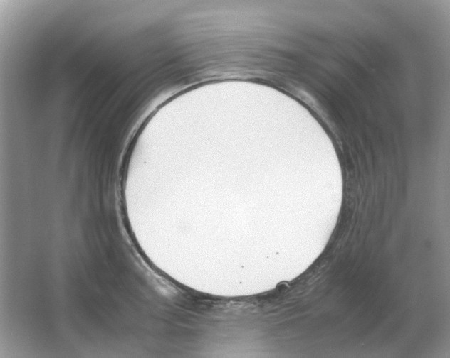 X0000063521187200602172206