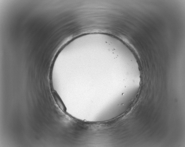 X0000063521189200602172206