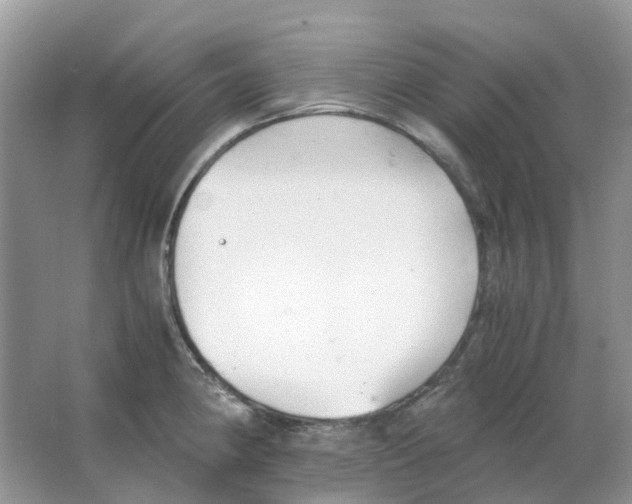 X0000063521190200602172206