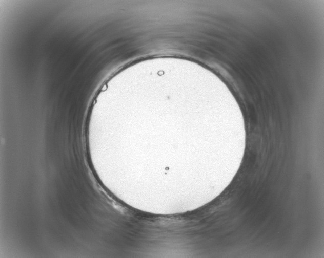 X0000063521191200602172205