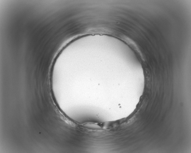 X0000063521192200602172205