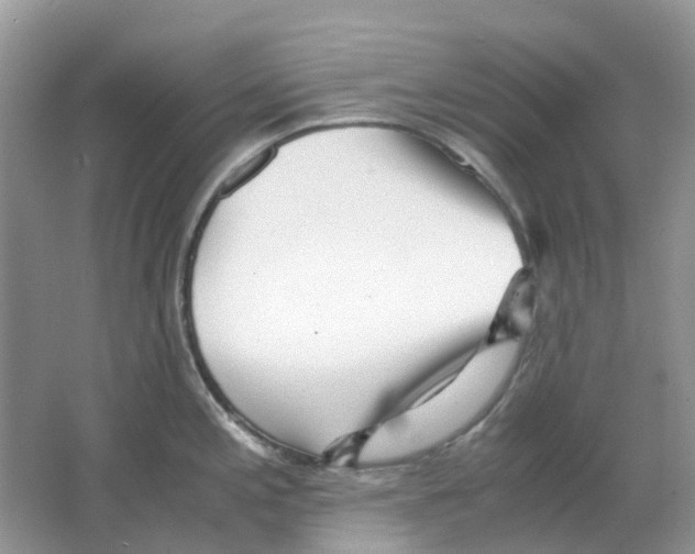 X0000063521197200602172205