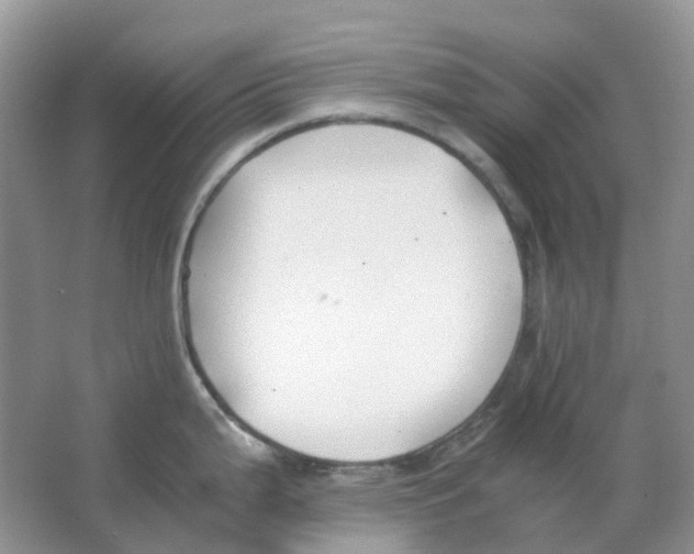 X0000063521199200602172205