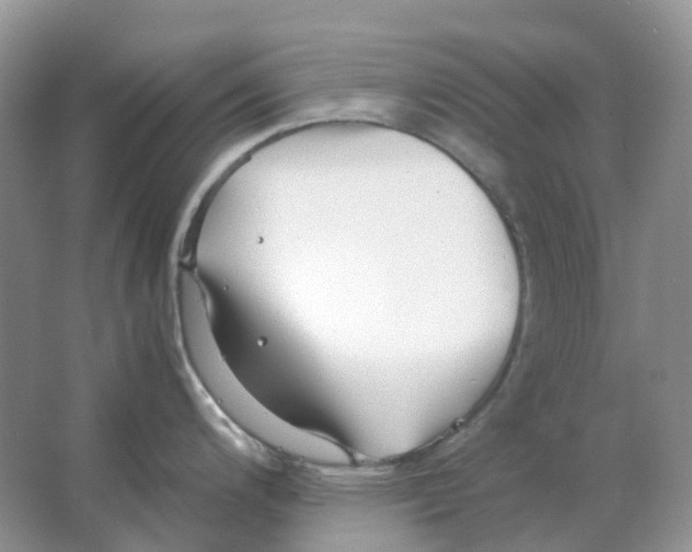 X0000063521200200602172205