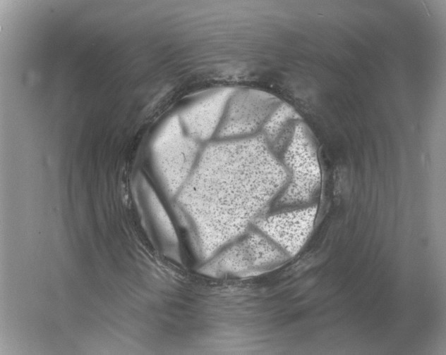 X0000063521202200602172204