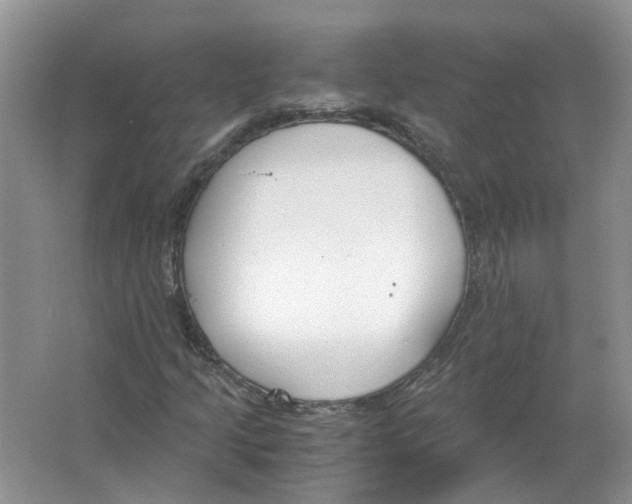 X0000063521205200602172204