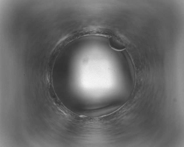 X0000063521206200602172205