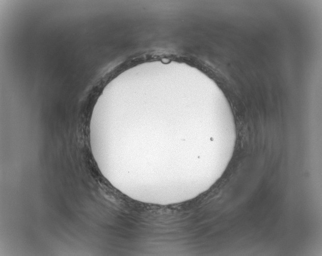 X0000063521207200602172205