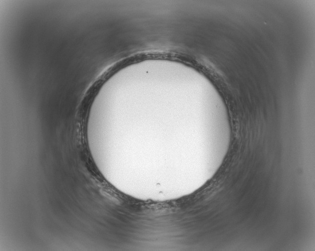 X0000063521208200602172205