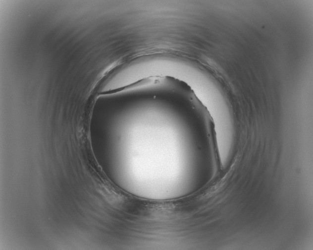 X0000063521210200602172205