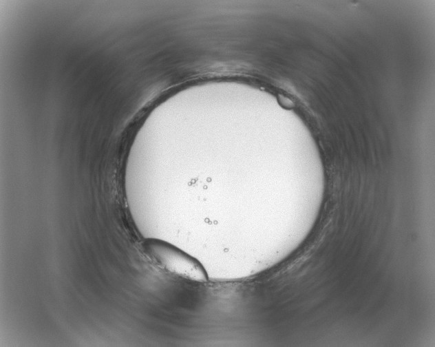 X0000063521211200602172205