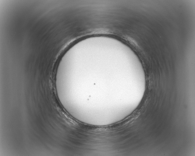 X0000063521212200602172205