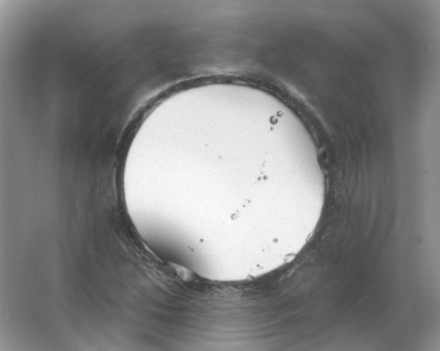 X0000063521214200602172205