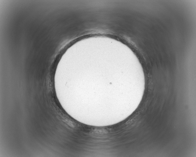 X0000063521215200602172205