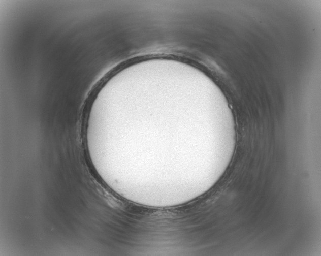 X0000063521216200602172205