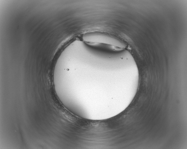 X0000063521218200602172205