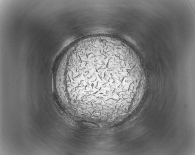 X0000063521219200602172205