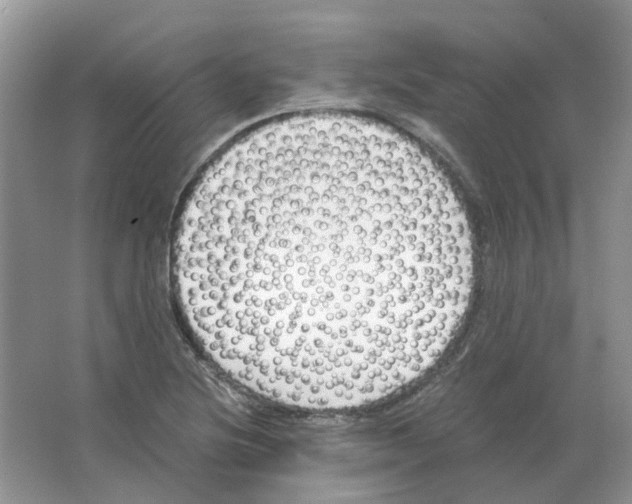 X0000063521220200602172205