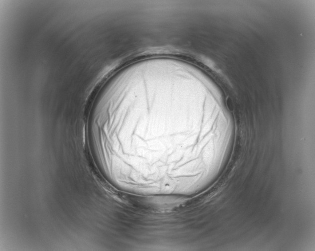 X0000063521221200602172205