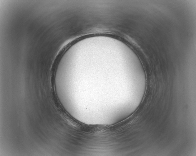 X0000063521222200602172205