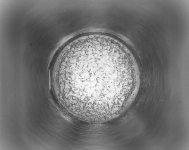 X0000063521223200602172205