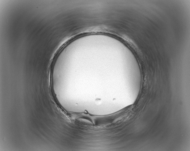 X0000063521224200602172205