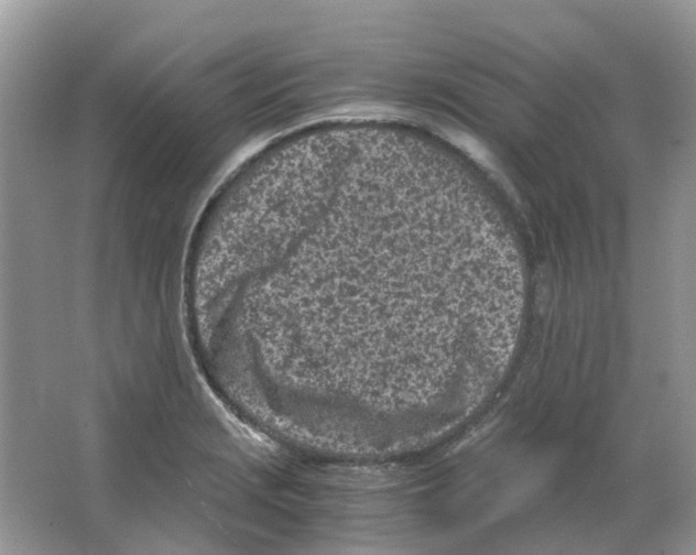 X0000063521229200602172205