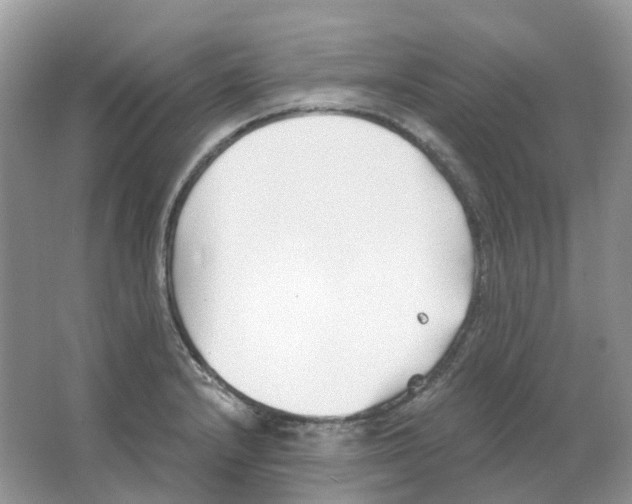 X0000063521232200602172205