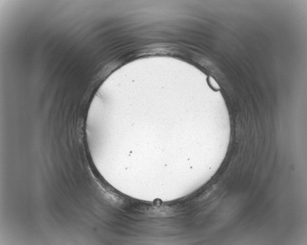 X0000063521233200602172205