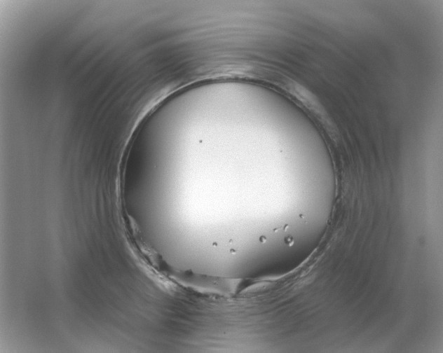 X0000063521234200602172205