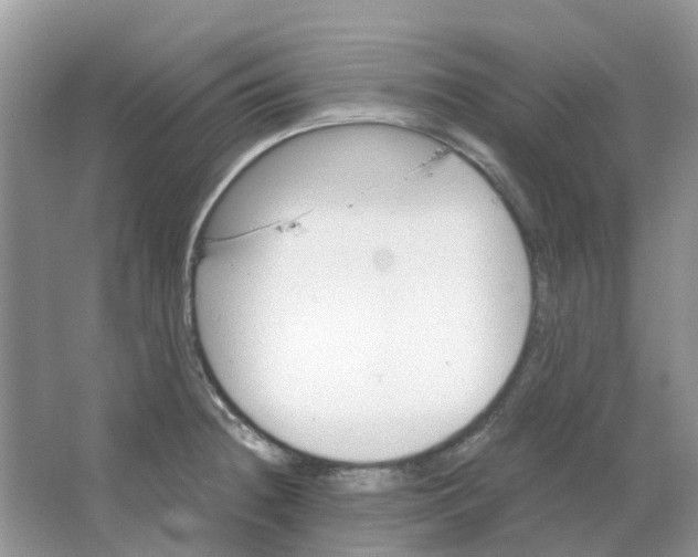 X0000063521236200602172205