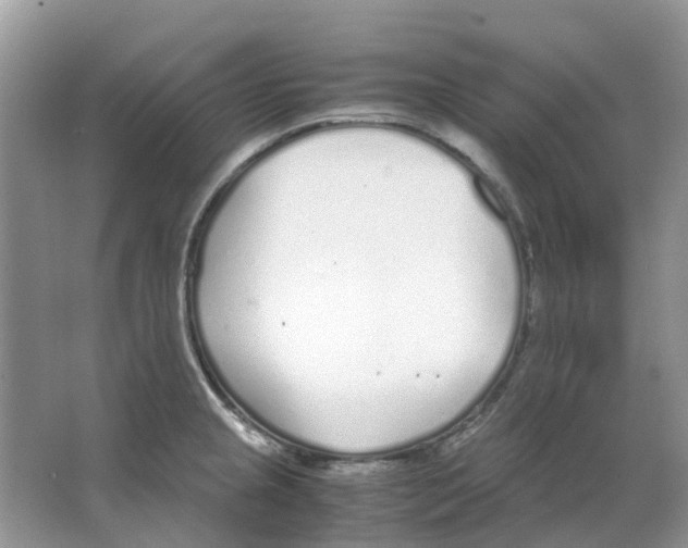 X0000063521237200602172205