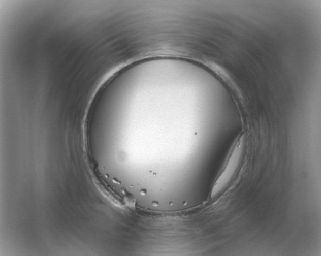 X0000063521238200602172205