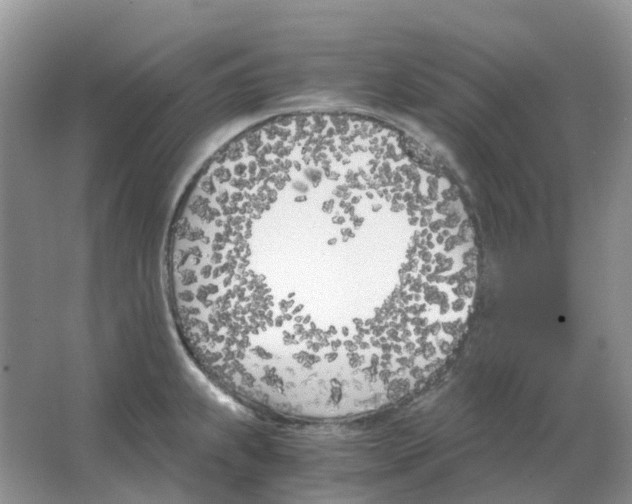 X0000063521239200602172205