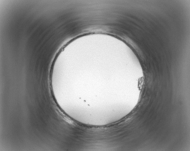 X0000063521240200602172205