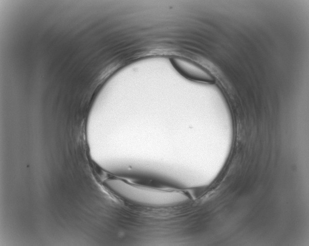 X0000063521241200602172205