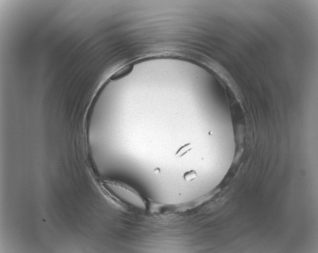 X0000063521242200602172205