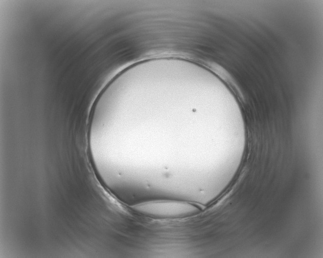 X0000063521244200602172205