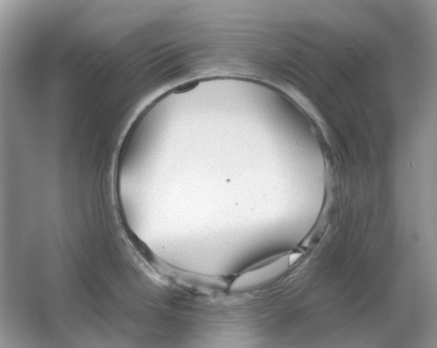 X0000063521246200602172205