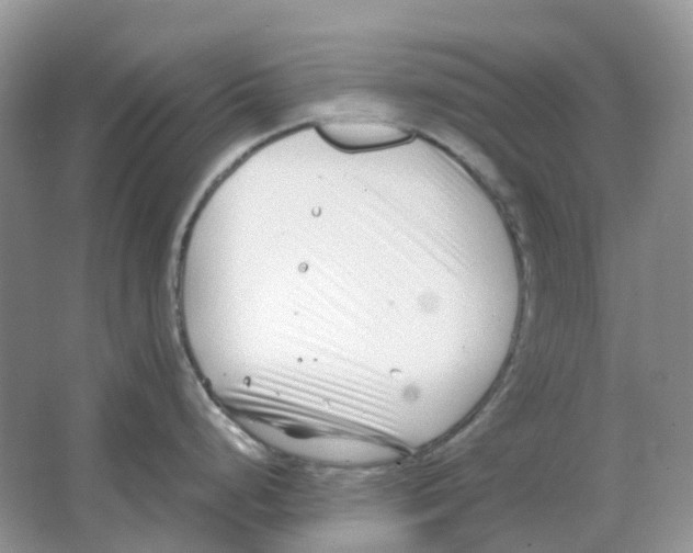 X0000063521248200602172205