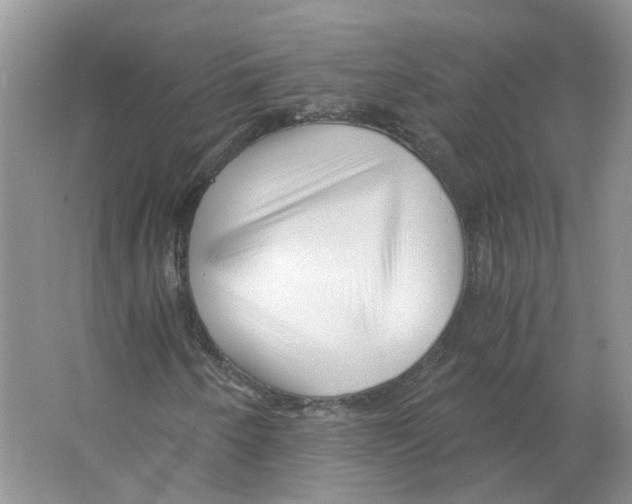 X0000063521250200602172204