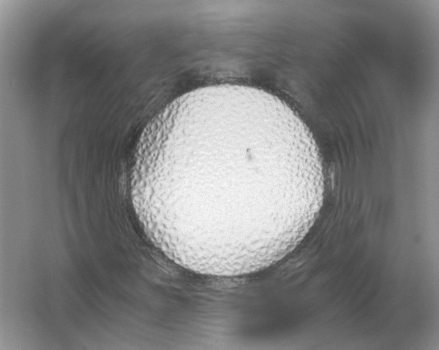 X0000063521251200602172204