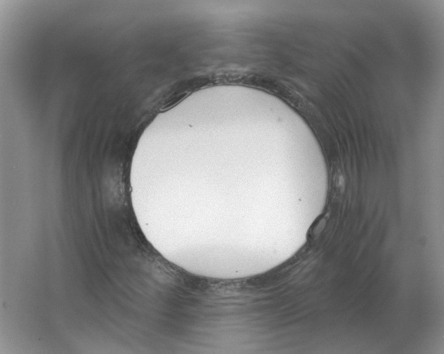 X0000063521252200602172204