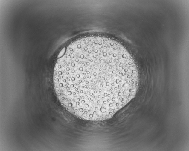 X0000063521255200602172204