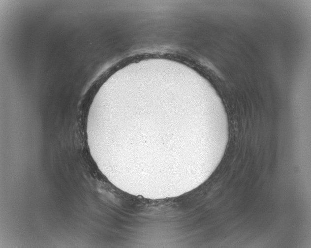 X0000063521256200602172204