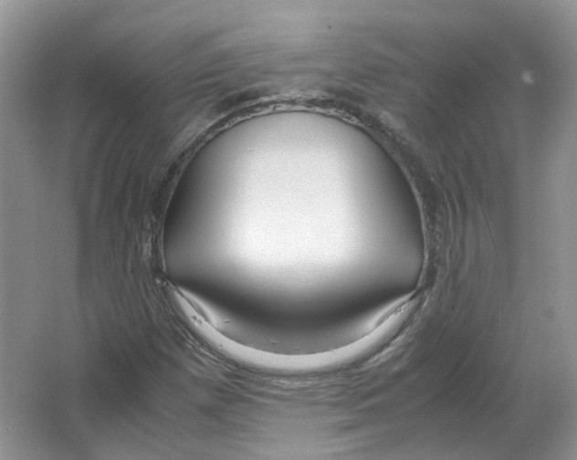 X0000063521257200602172204