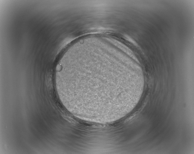 X0000063521259200602172204