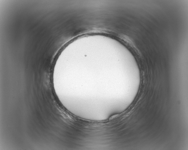 X0000063521260200602172204